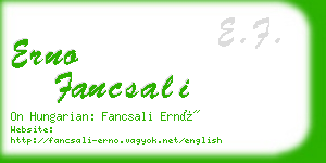 erno fancsali business card